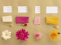 duitang Paper Flowers II